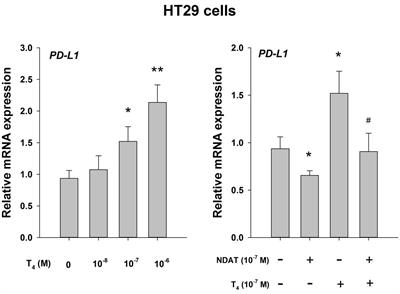 What is thyroid function in your just-diagnosed cancer patient?